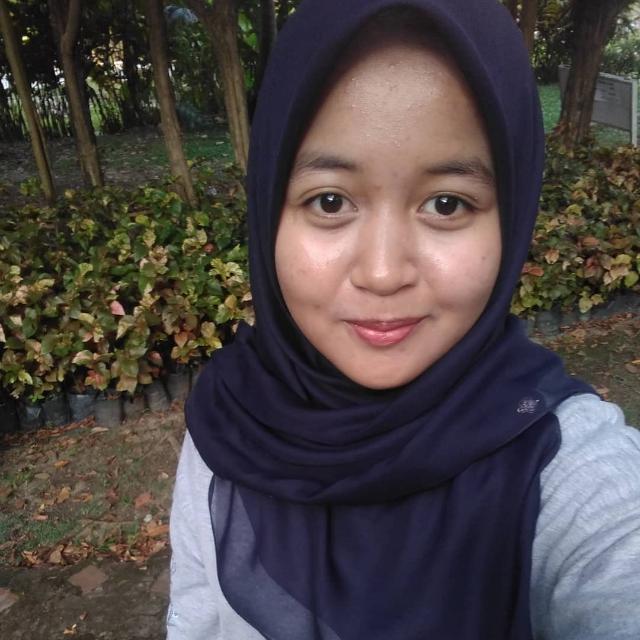 dinisafrina